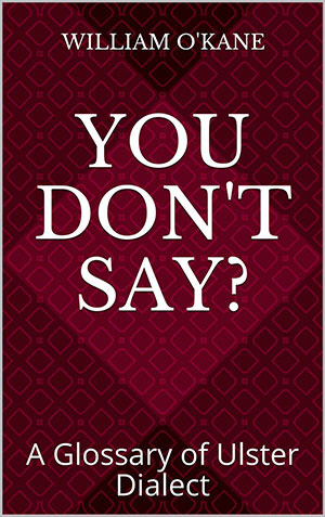 You Don't Say?: A Glossary of Ulster Dialect